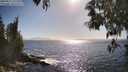 ./images/koeye/fitz-hugh/20250512/fitz-hugh20250512_171510M.jpg