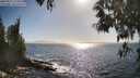 ./images/koeye/fitz-hugh/20250512/fitz-hugh20250512_172010M.jpg