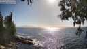 ./images/koeye/fitz-hugh/20250512/fitz-hugh20250512_172509M.jpg