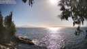 ./images/koeye/fitz-hugh/20250512/fitz-hugh20250512_173510M.jpg