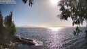 ./images/koeye/fitz-hugh/20250512/fitz-hugh20250512_174011M.jpg