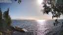 ./images/koeye/fitz-hugh/20250512/fitz-hugh20250512_175010M.jpg