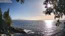 ./images/koeye/fitz-hugh/20250512/fitz-hugh20250512_184010M.jpg