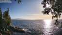 ./images/koeye/fitz-hugh/20250512/fitz-hugh20250512_185011M.jpg