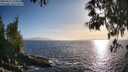 ./images/koeye/fitz-hugh/20250512/fitz-hugh20250512_190009M.jpg