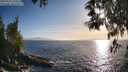./images/koeye/fitz-hugh/20250512/fitz-hugh20250512_190509M.jpg