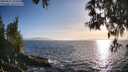 ./images/koeye/fitz-hugh/20250512/fitz-hugh20250512_191009M.jpg