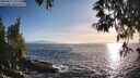 ./images/koeye/fitz-hugh/20250512/fitz-hugh20250512_191508M.jpg