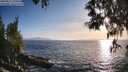 ./images/koeye/fitz-hugh/20250512/fitz-hugh20250512_192009M.jpg