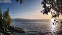 ./images/koeye/fitz-hugh/20250512/fitz-hugh20250512_194008M.jpg