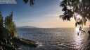 ./images/koeye/fitz-hugh/20250512/fitz-hugh20250512_194508M.jpg