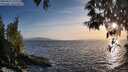 ./images/koeye/fitz-hugh/20250512/fitz-hugh20250512_195509M.jpg