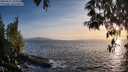 ./images/koeye/fitz-hugh/20250512/fitz-hugh20250512_201008M.jpg