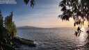 ./images/koeye/fitz-hugh/20250512/fitz-hugh20250512_201505M.jpg