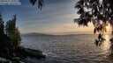 ./images/koeye/fitz-hugh/20250512/fitz-hugh20250512_202509M.jpg