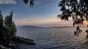 ./images/koeye/fitz-hugh/20250512/fitz-hugh20250512_205508M.jpg