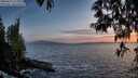 ./images/koeye/fitz-hugh/20250512/fitz-hugh20250512_211008M.jpg