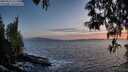 ./images/koeye/fitz-hugh/20250512/fitz-hugh20250512_211508M.jpg