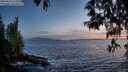 ./images/koeye/fitz-hugh/20250512/fitz-hugh20250512_213508M.jpg