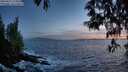 ./images/koeye/fitz-hugh/20250512/fitz-hugh20250512_214009M.jpg