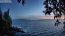 ./images/koeye/fitz-hugh/20250512/fitz-hugh20250512_214508M.jpg