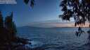 ./images/koeye/fitz-hugh/20250512/fitz-hugh20250512_215509M.jpg