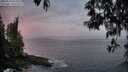 ./images/koeye/fitz-hugh/20250513/fitz-hugh20250513_053509M.jpg