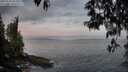 ./images/koeye/fitz-hugh/20250513/fitz-hugh20250513_054509M.jpg