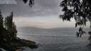 ./images/koeye/fitz-hugh/20250513/fitz-hugh20250513_060510M.jpg
