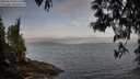 ./images/koeye/fitz-hugh/20250513/fitz-hugh20250513_063509M.jpg