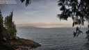 ./images/koeye/fitz-hugh/20250513/fitz-hugh20250513_064509M.jpg
