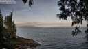 ./images/koeye/fitz-hugh/20250513/fitz-hugh20250513_065011M.jpg