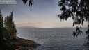 ./images/koeye/fitz-hugh/20250513/fitz-hugh20250513_070009M.jpg