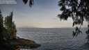 ./images/koeye/fitz-hugh/20250513/fitz-hugh20250513_070510M.jpg