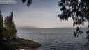 ./images/koeye/fitz-hugh/20250513/fitz-hugh20250513_071510M.jpg