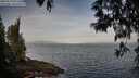 ./images/koeye/fitz-hugh/20250513/fitz-hugh20250513_072509M.jpg