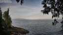 ./images/koeye/fitz-hugh/20250513/fitz-hugh20250513_073009M.jpg