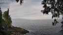 ./images/koeye/fitz-hugh/20250513/fitz-hugh20250513_074509M.jpg