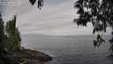 ./images/koeye/fitz-hugh/20250513/fitz-hugh20250513_075010M.jpg