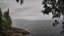 ./images/koeye/fitz-hugh/20250513/fitz-hugh20250513_080011M.jpg