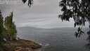 ./images/koeye/fitz-hugh/20250513/fitz-hugh20250513_081010M.jpg