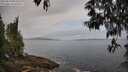 ./images/koeye/fitz-hugh/20250513/fitz-hugh20250513_083510M.jpg