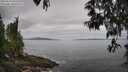 ./images/koeye/fitz-hugh/20250513/fitz-hugh20250513_093510M.jpg