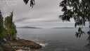 ./images/koeye/fitz-hugh/20250513/fitz-hugh20250513_094510M.jpg