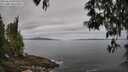./images/koeye/fitz-hugh/20250513/fitz-hugh20250513_095010M.jpg