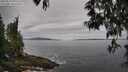 ./images/koeye/fitz-hugh/20250513/fitz-hugh20250513_095510M.jpg