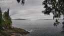 ./images/koeye/fitz-hugh/20250513/fitz-hugh20250513_100510M.jpg