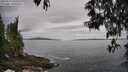 ./images/koeye/fitz-hugh/20250513/fitz-hugh20250513_102510M.jpg