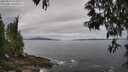 ./images/koeye/fitz-hugh/20250513/fitz-hugh20250513_103510M.jpg