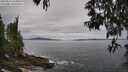 ./images/koeye/fitz-hugh/20250513/fitz-hugh20250513_104010M.jpg